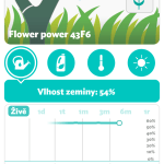 Flower Power zalevani live