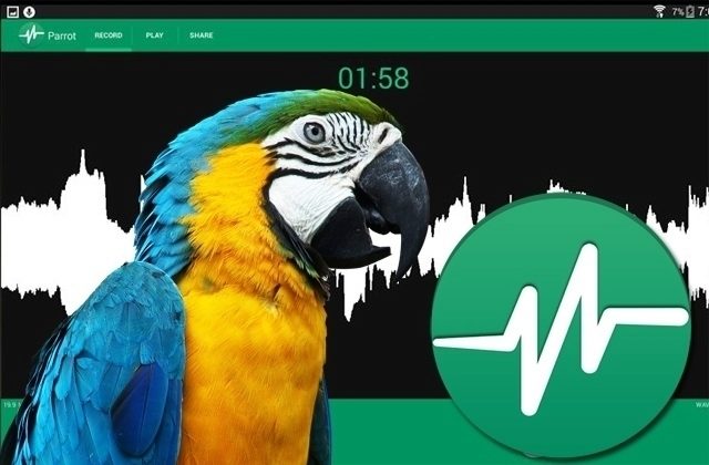 parrot ico