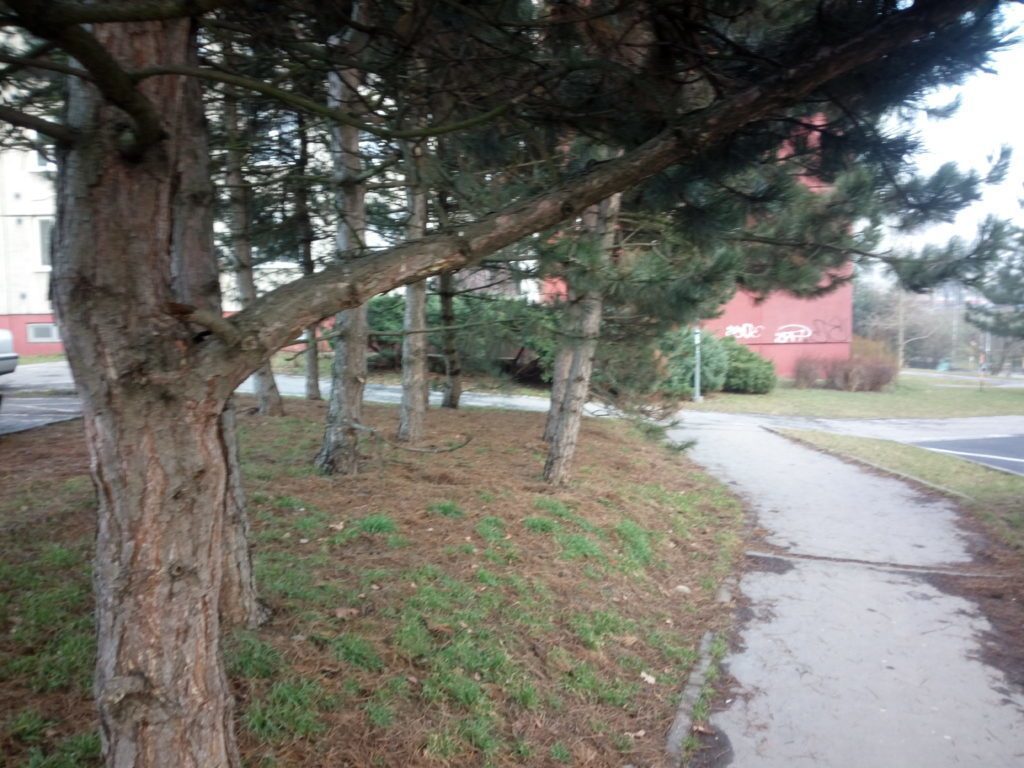 iNew V3 Plus pořízená fotografie 12