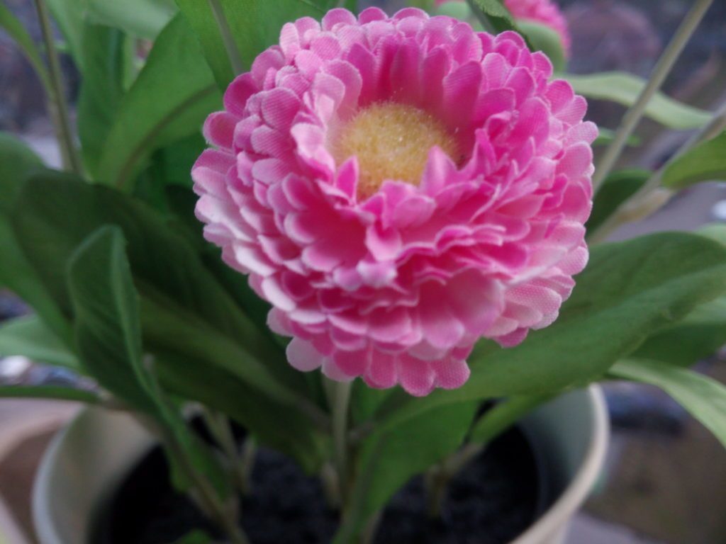iNew V3 Plus pořízená fotografie 26