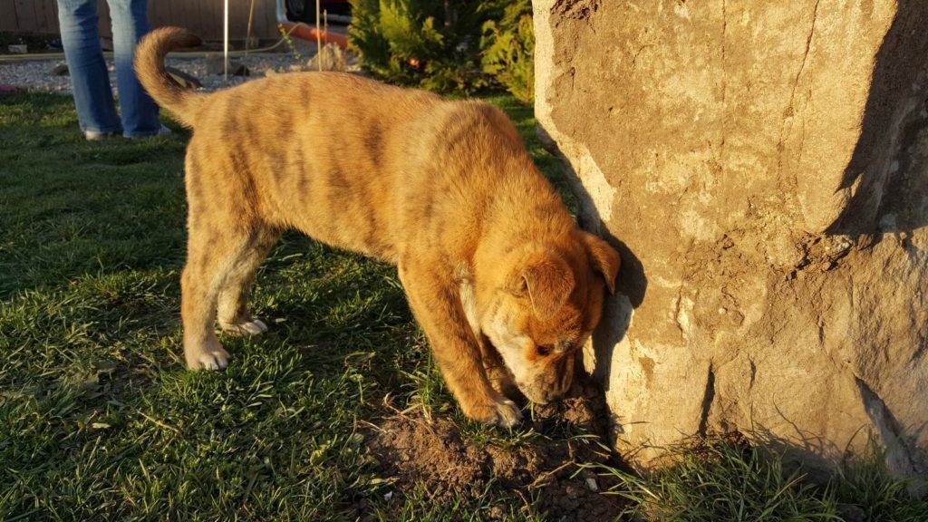 Samsung Galaxy S6 Edge pořízené fotografie 11