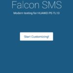 Falcon (2)