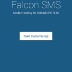 Falcon (2)