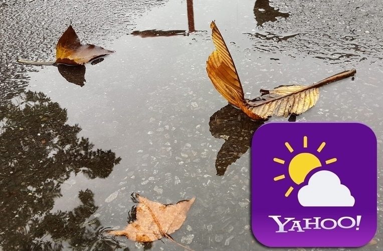 yahoo pocasi ico