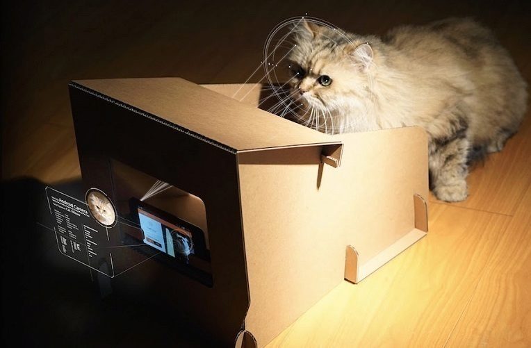 catfi box 1 catfi box 1