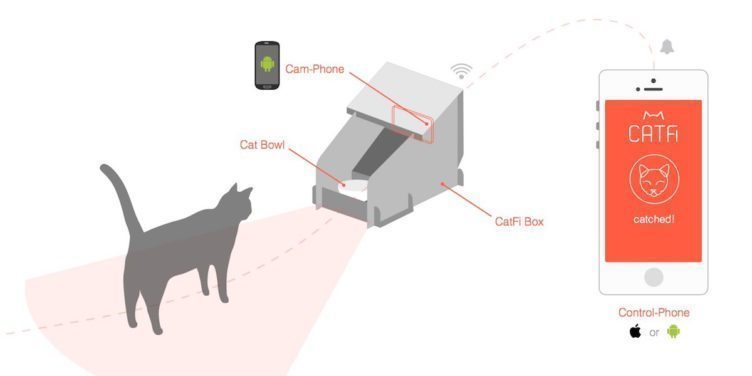 catfi box catfi box