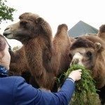 LG G3s – pořízené fotografie (10)