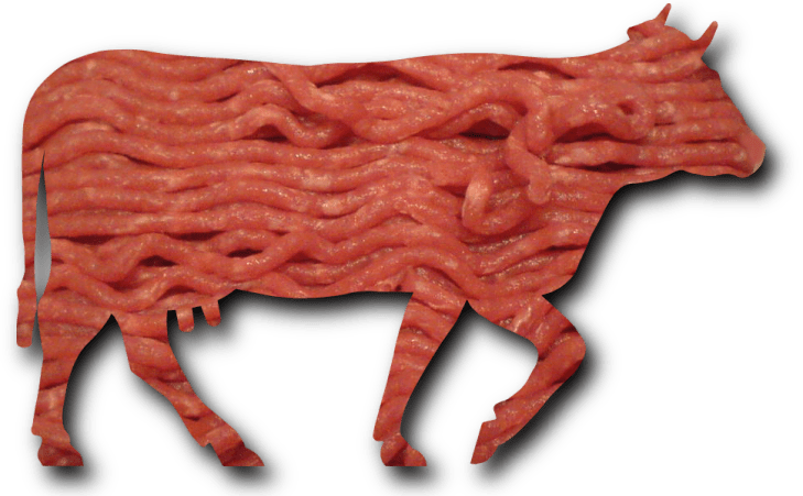 senzor maso