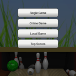 Bowling Online 3D