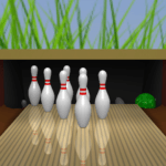 Bowling Online 3D