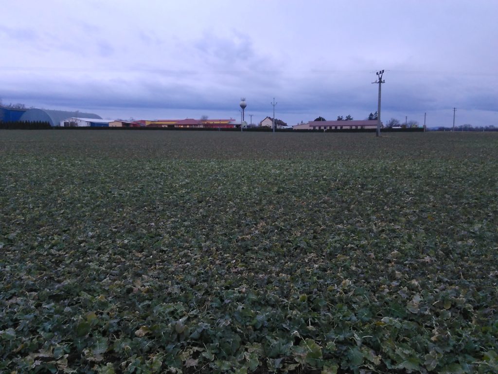 Accent Speed X1 ukázka fotoaparátu 6