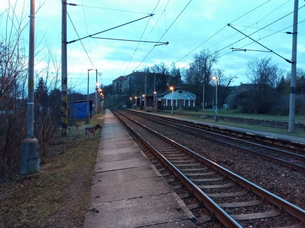 Samsung Galaxy A5 pořízené fotografie 12