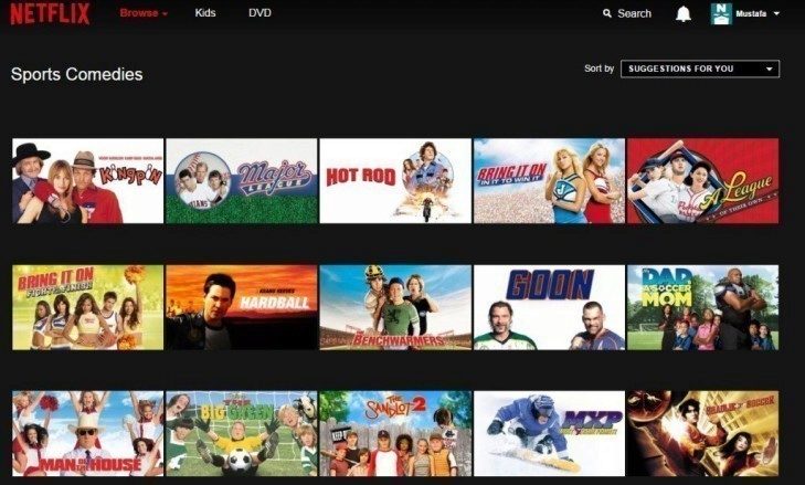 netflix kategorie