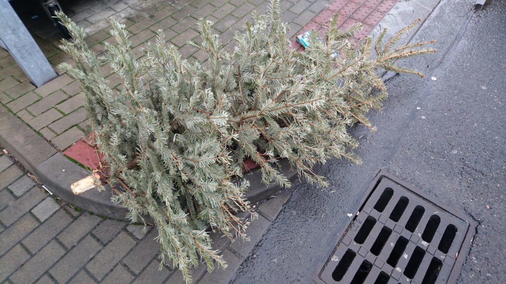 Sony Xperia Z5 Premium test foto 12