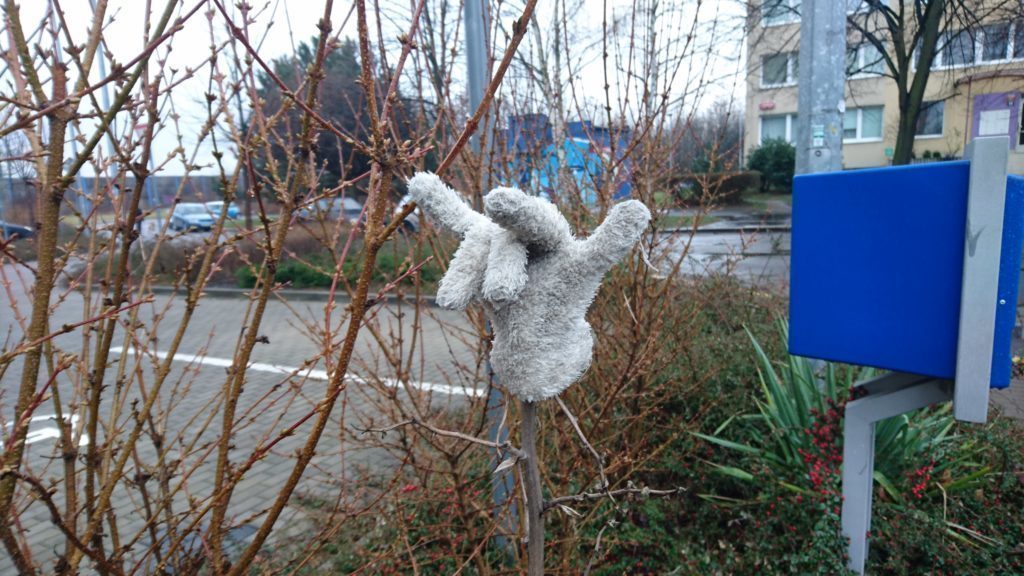Sony Xperia Z5 Premium test foto 7