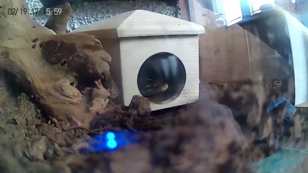Xiaomi Ants Smart Camera pořízené fotografie 3