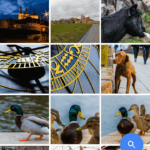 Google Fotky – nový vzhled (1)