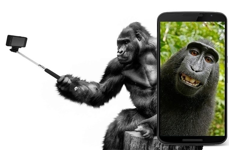 Selfie náhleďák