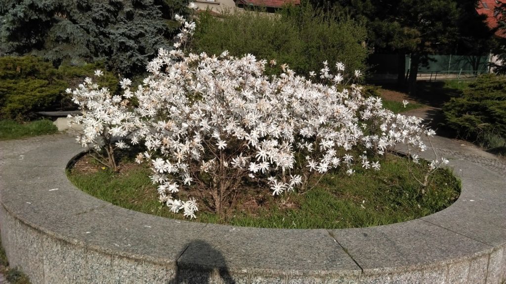 HTC Desire 820 pořízené fotografie 7