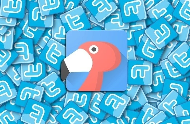 flamingo ico