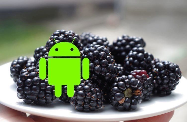 BlackBerryAndroid BlackBerryAndroid
