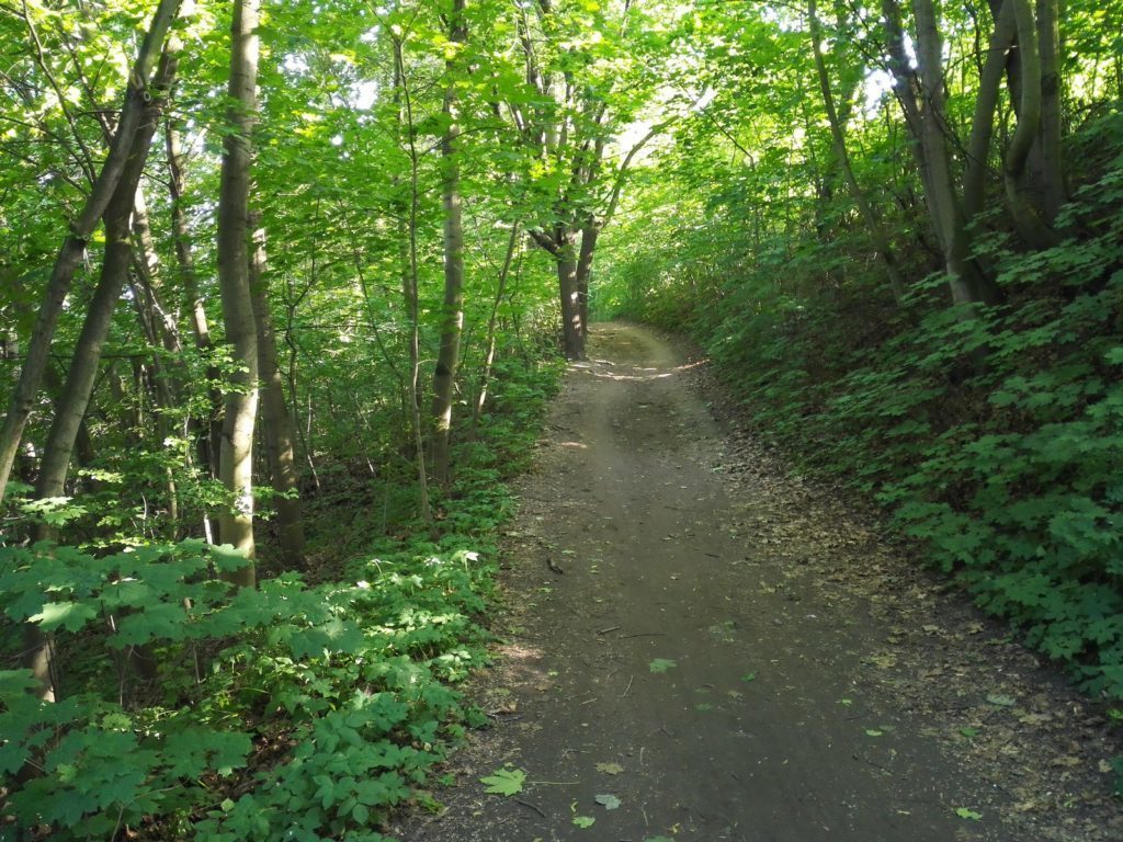 Honor 6 Plus pořízené fotografie 1