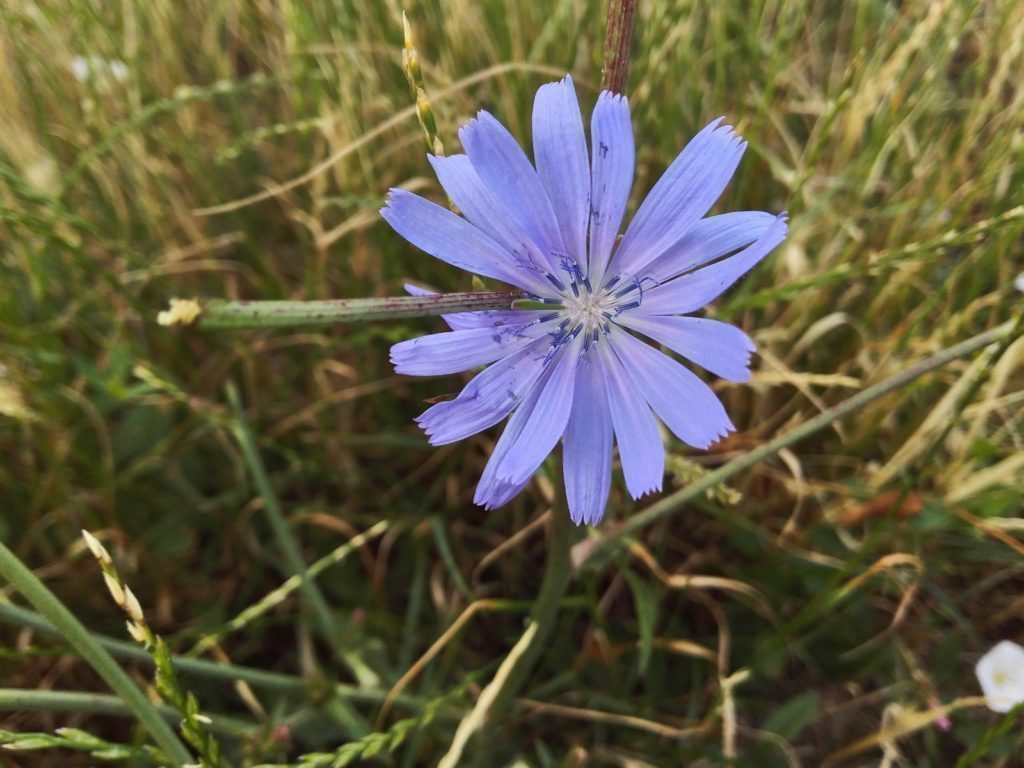 Honor 6 Plus pořízené fotografie 6