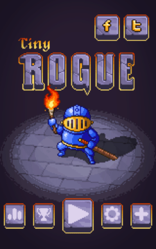 Tiny Rogue_20160720_162110