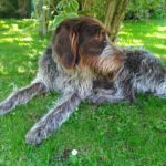 Vodafone Smart ultra 6 – pořízené fotografie (7)