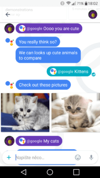 Google Allo 3