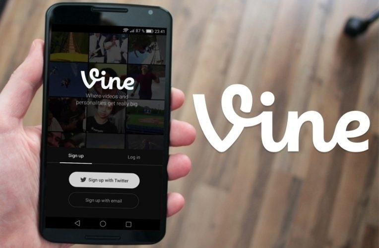 Vine Camera Vine Camera