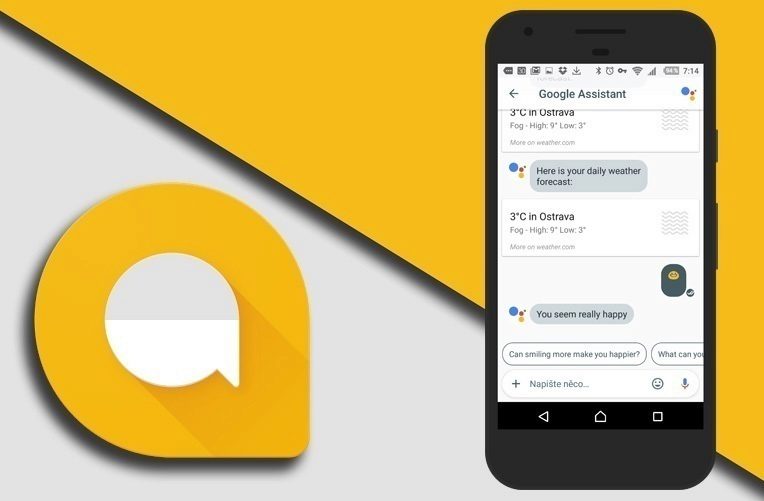 google_allo_20_ico google_allo_20_ico