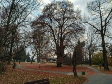 Třebovický park