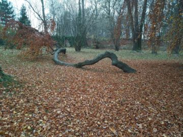 Třebovický park