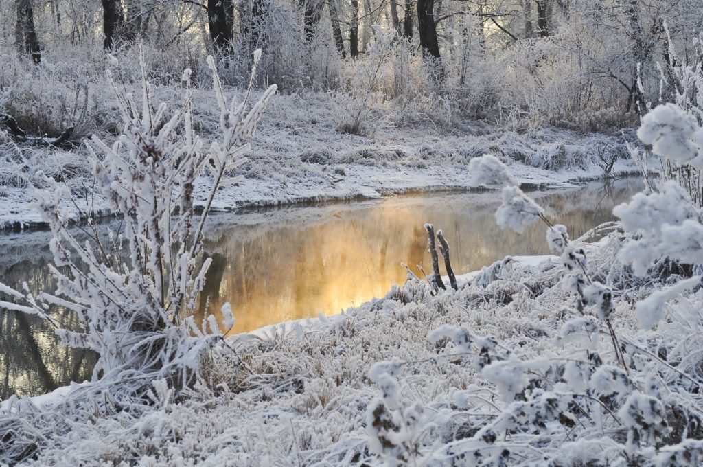 Většinu telefonů byste neměli používat v teplotách pod 0 °C