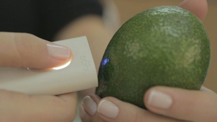 Scanning Avocado