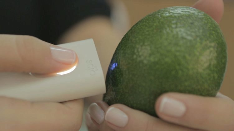 Scanning Avocado Scanning Avocado