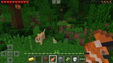 Minecraft Pocket Edition