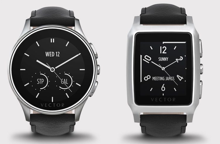 vector fitbit