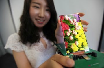 lg display 2