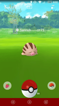 Pokémon GO Gen 2 (6)