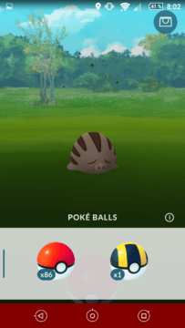 Pokémon GO Gen 2 (7)