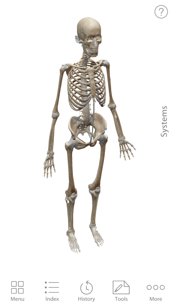 Anatomie cloveka 1