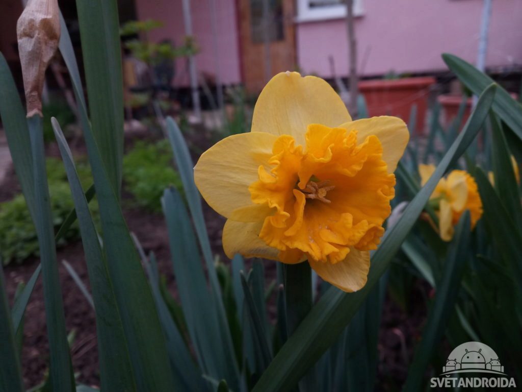 Lenovo Moto M foto 3