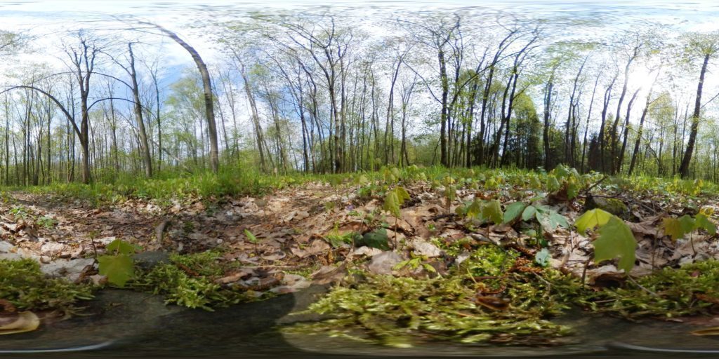 Samsung Gear 360 ukazka foto upraveno 2