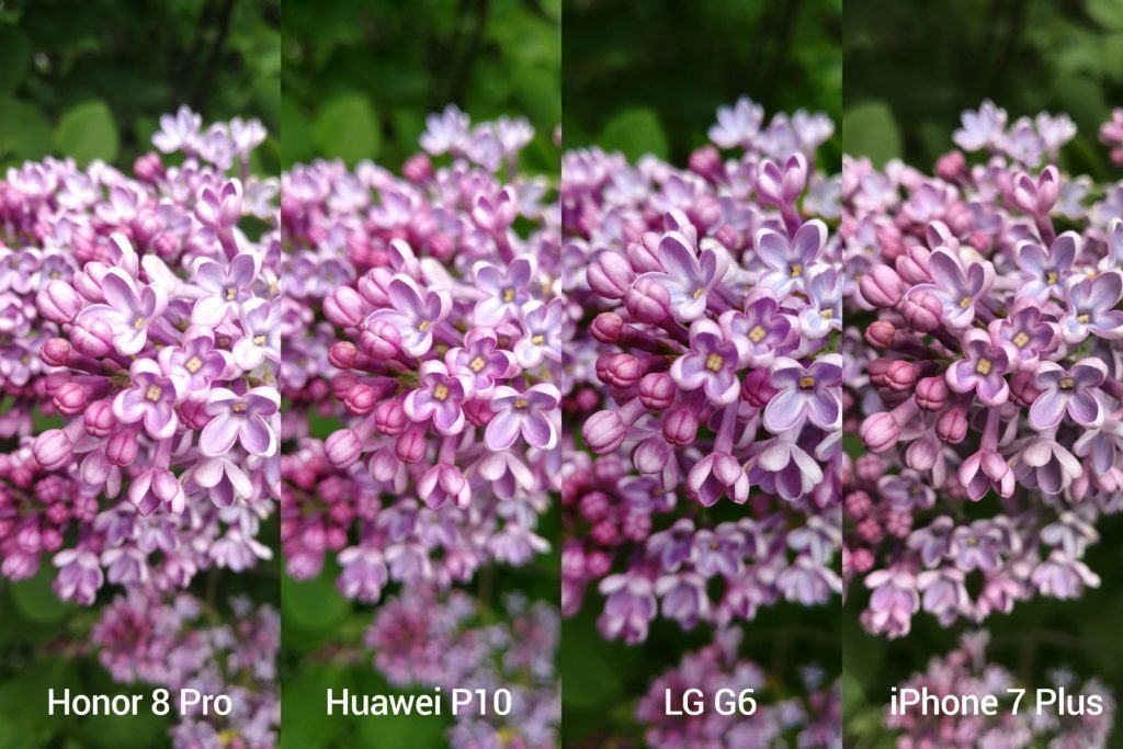 porovnani foto Honor vs P10 vs G6 vs iP7P 5