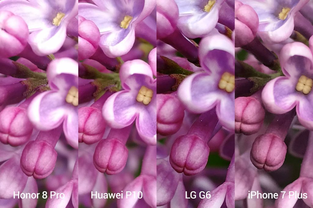 porovnani foto Honor vs P10 vs G6 vs iP7P 6