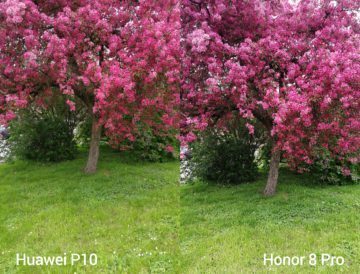 porovnani foto – P10 vs 8 Pro 3