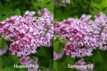 porovnani foto – P10 vs S8 14