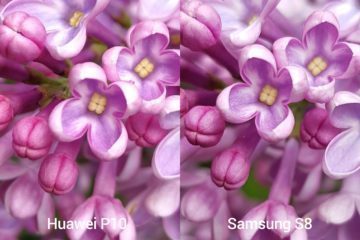 porovnani foto – P10 vs S8 15